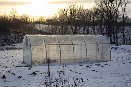 Téléchargez les photos : Une serre en hiver dans le village. Soirée et lever du soleil sur les arbres sans feuilles - en image libre de droit