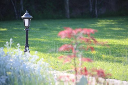 Téléchargez les photos : Lampe et petit buisson rouge sur l'herbe - en image libre de droit