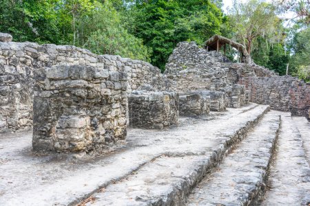 Foto de Ruinas de la antigua ciudad maya de Coba en la península de Yucatán en México. - Imagen libre de derechos