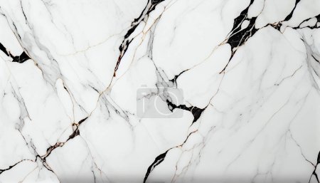 Photo for White marble with black lines, top view - Royalty Free Image