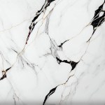White marble with black lines, top view