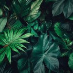 Tropical plant leaves background image, direct view