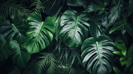 Plante tropicale laisse image de fond, vue directe