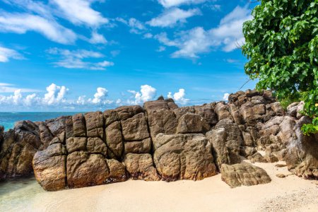 Photo for Beautiful Indian Ocean coastline on the island of Sri Lanka, Mirissa. - Royalty Free Image