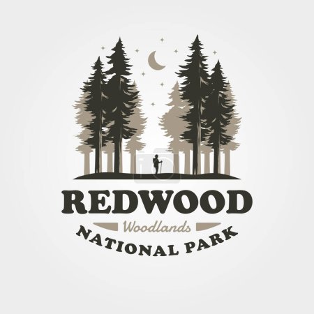 Téléchargez les illustrations : Design vectoriel de logo extérieur vintage en séquoia, conception d'illustration de symbole de forêt - en licence libre de droit
