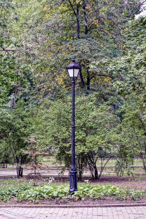 Téléchargez les photos : One black iron pillar with an old street lamp in the summer park - en image libre de droit