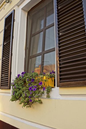 Foto de One window with brown wooden shutters and a flowerpot with decorative flowers on a stone wall in the street - Imagen libre de derechos