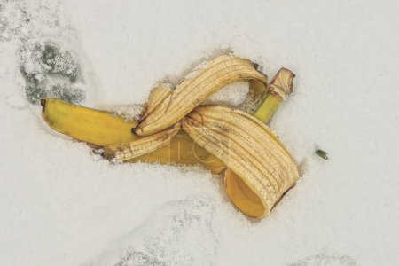 Foto de Yellow banana peel lies in a snowdrift of white snow on a winter street - Imagen libre de derechos