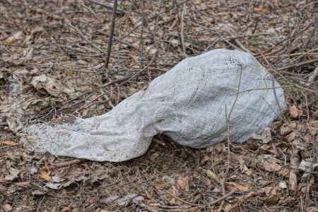 Téléchargez les photos : Un vieux sac blanc avec des ordures se trouve dans l'herbe brune sèche et laisse dans la rue - en image libre de droit