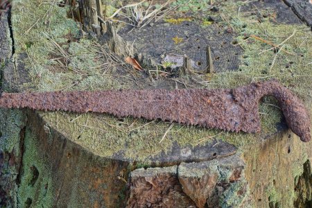 Téléchargez les photos : Une vieille scie à métaux rouillée en fer brun repose sur une souche et de la mousse verte dans la nature dans la rue - en image libre de droit
