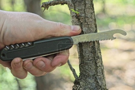 Téléchargez les photos : Une main tient un couteau de l'armée avec une poignée verte et une scie à métaux coupant une fine branche grise d'un arbre dans la nature - en image libre de droit