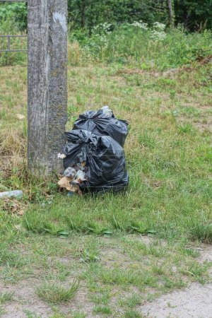 Téléchargez les photos : Un sac en plastique déchiré noir avec des poubelles se tient dans l'herbe verte près d'un pilier en béton gris dans la rue - en image libre de droit