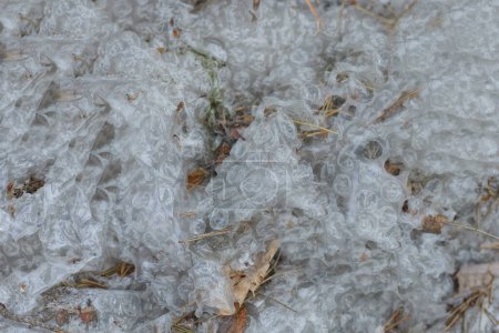 Foto de Textura de plástico de un trozo de celofán gris blanco sucio arrugado de un paquete con burbujas - Imagen libre de derechos