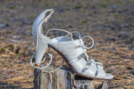 Téléchargez les photos : Une sandale à talons hauts en cuir blanc pour femme se tient sur la souche grise dans la rue - en image libre de droit