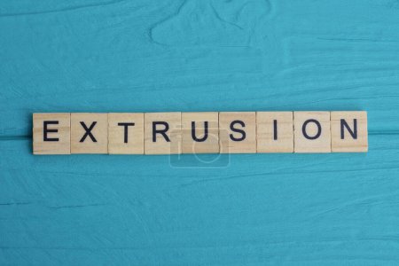 Photo for Word extrusion made from wooden gray letters lies on a blue background - Royalty Free Image