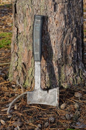 Photo for One gray old iron ax with a black handle stands on the ground near a brown pine tree in the forest - Royalty Free Image