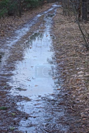 Téléchargez les photos : Une grande flaque d'eau grise sur le sol sur la route à l'extérieur - en image libre de droit