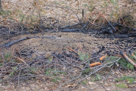 an extinct fire made of black ash and ash on the brown ground on the street