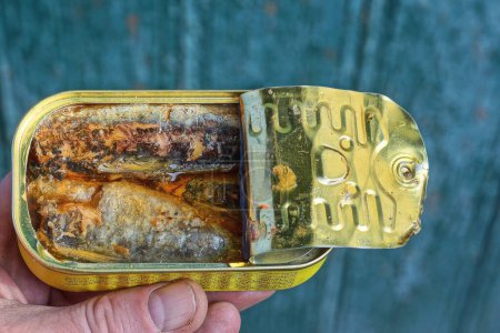 Photo for Hand holding one open yellow tin can with sardines on a green background - Royalty Free Image