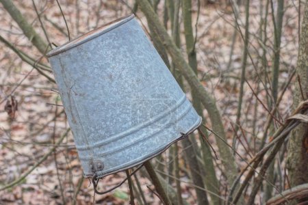 one old gray metal bucket hanging on a tree branch on the street