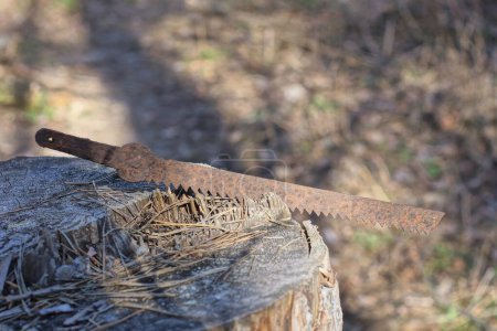 eine alte braune eiserne rostige Bügelsäge liegt auf einem grauen Baumstumpf in der Natur auf der Straße
