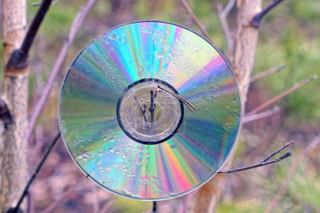 eine alte schmutzig gefärbte Compact Disc, die an einem dünnen Ast auf der Straße hängt