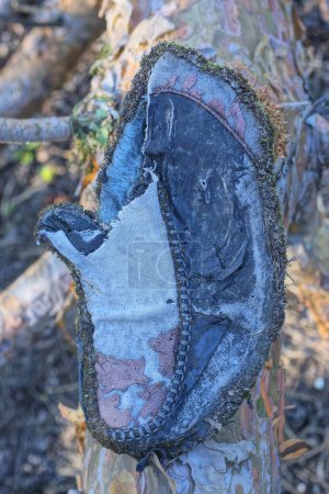 une vieille semelle grise déchiré pour une pantoufle se trouve sur une bûche de pin brun dans la rue