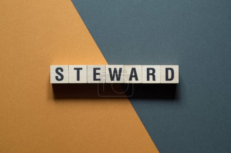 Téléchargez les photos : Steward - concept de mot sur cubes, texte, lettres - en image libre de droit