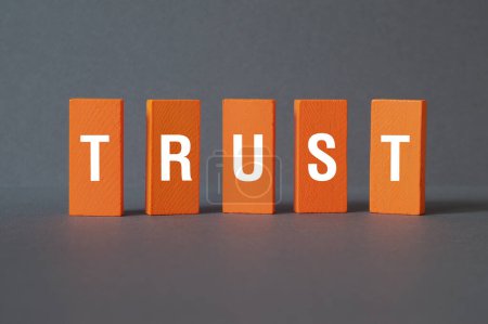 Trust - word concept on building blocks, text, letters