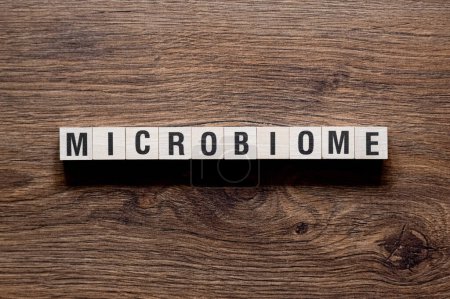 Mikrobiom - Wortkonzept auf Bausteinen, Text, Buchstaben