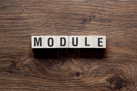 Module - word concept on building blocks, text, letters