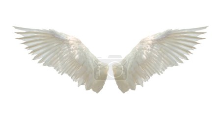 Engelsflügel isoliert auf weißem Hintergrund mit Clipping-Teil