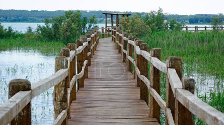 Téléchargez les photos : Jetée en bois au lac vrana en croatie - en image libre de droit