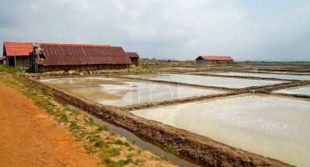 riesige Salzfelder bei Kampot in Kambodscha