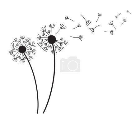 Illustration for Dandelions with flying seeds on white background. Abstract dandelions flowers wind blows the seeds. - Royalty Free Image