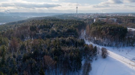 Drohnenaufnahmen eines öffentlichen Parks Wald und Stadtlandschaft am Horizont an sonnigen Wintertagen
