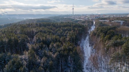 Fotografía de drones de un bosque de parque público y paisaje urbano en el horizonte durante el soleado día de invierno
