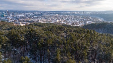 Drone photography of a public park forest and city landscape on horizon during sunny winter day