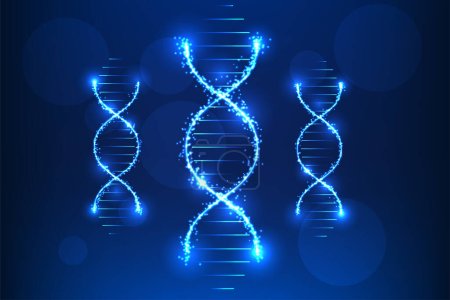 Illustration for Medical technology that shows the structure of DNA characteristics, representing the use of technology in medicine that shows DNA information to bring information to research and treat patients - Royalty Free Image