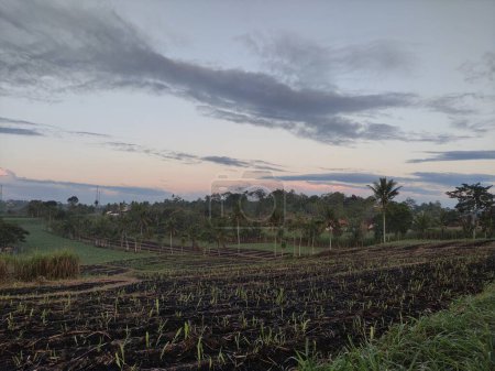 Photo for The atmosphere of the morning sunrise in a village in Indonesia - Royalty Free Image