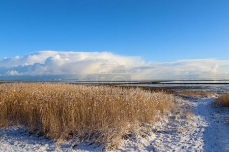 Téléchargez les photos : Belles impressions de Sylt en hiver avec neige - en image libre de droit