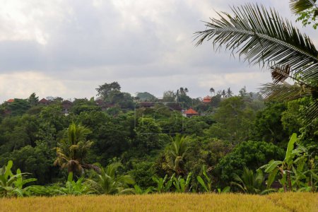 Découvrez la beauté des paysages indonésiens