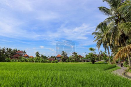 Découvrez la beauté des paysages indonésiens
