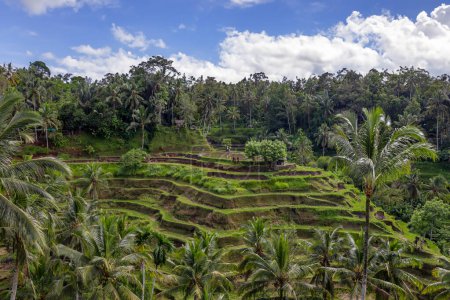 Entdecken Sie die Schönheit der indonesischen Landschaften