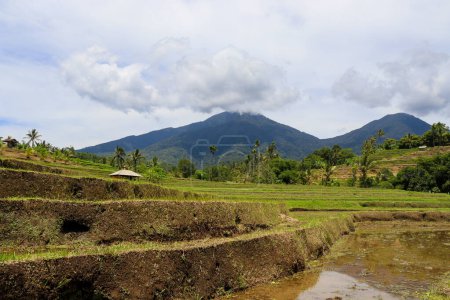Discover the beauty of Indonesia's landscapes