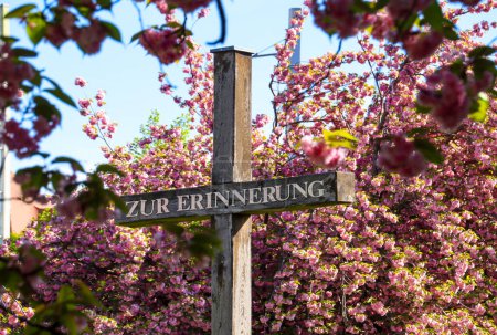 Experience the enchanting beauty of cherry blossoms in full bloom in front of the GRASSI Museum at Johannisplatz, Leipzig. These captivating images showcase the vibrant pink flowers that draw visitors and locals alike to this picturesque location eve