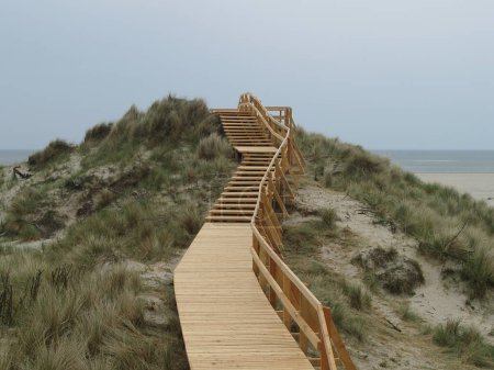 Photo for Wooden pathes througt the dunes of island Amrum, for safety the nature - Royalty Free Image
