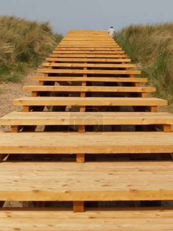 new build wooden way throught the dunes, island amrum, northsea