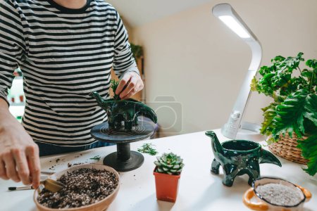 Photo for Young woman planting a succulent in a dinosaur shape flower pot. Close up, selective focus. - Royalty Free Image