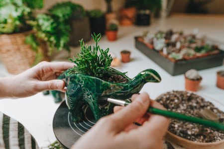 Photo for Young woman planting a succulent in a dinosaur shape flower pot. Close up, selective focus. - Royalty Free Image